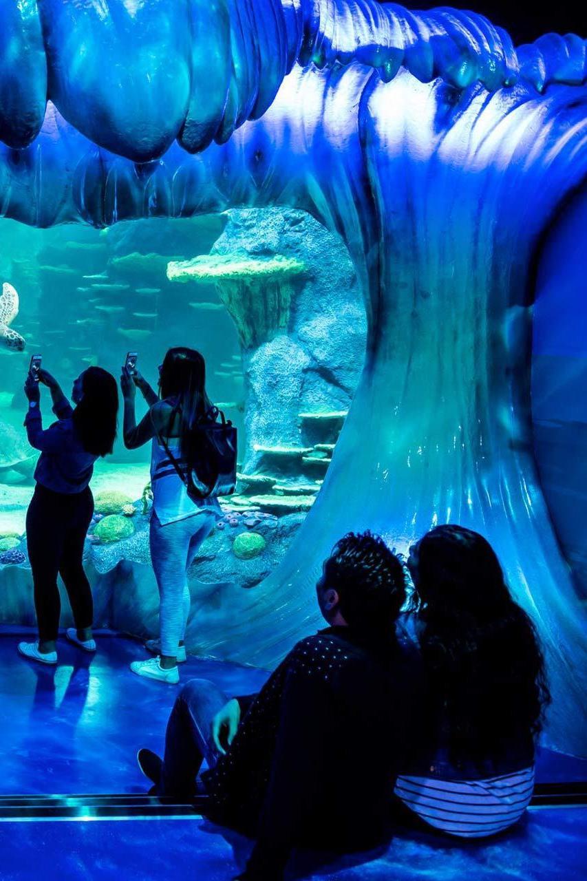 SEA LIFE Sydney Aquarium